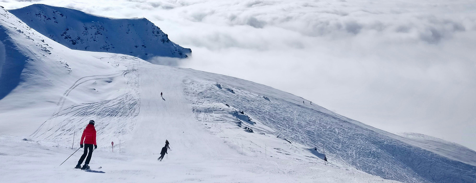 Front Page -Odlo pexels michiel 2411714